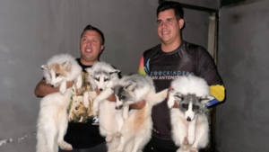 Zoocriadero San Antonio Abad conciencia de preservación especies animales en riesgo